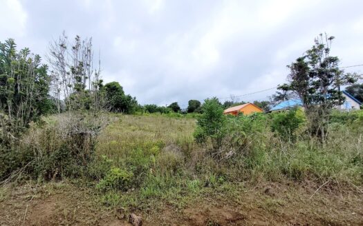 Terrain Constructible de 1850 m²
