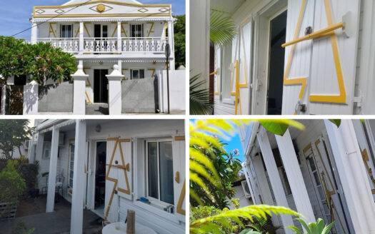 Maison F3 + Appartement T2 de 101 m²