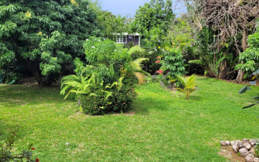 Terrain Constructible de 328 m²