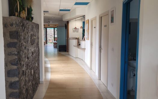 Local Professionnel de 155 m²